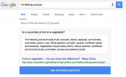 Google's Search Tricks