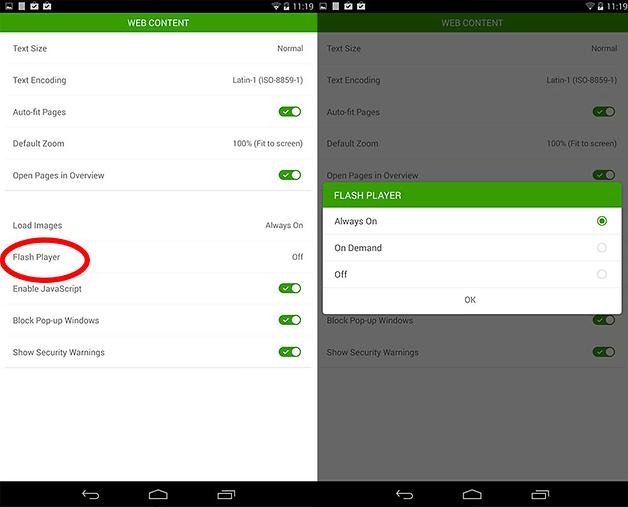 Adobe Flash Player on Android 4.4