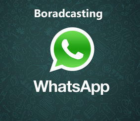 Bulk Messages on WhatsApp