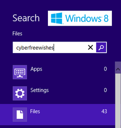 Windows 8 Search Box